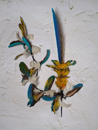 Yawanawá Ceremonial Macaw Feather Headpiece