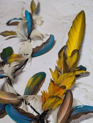 Yawanawá Ceremonial Macaw Feather Headpiece
